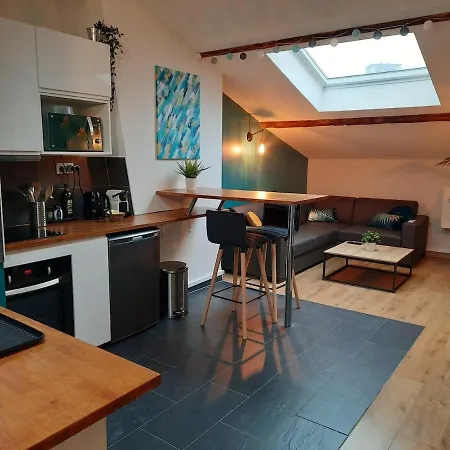 Apartment Grand Proche Metro Avec Climatisation Lyon